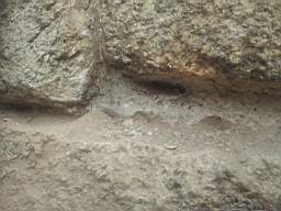 sandymount tower-13090.jpg